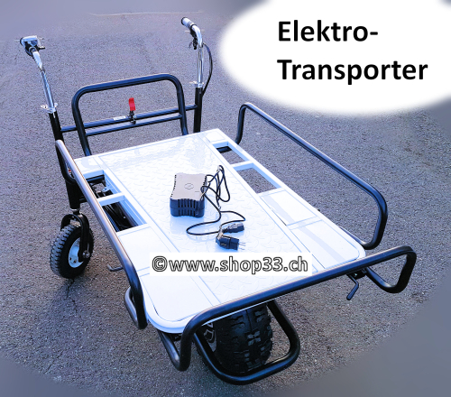Elektro Handwagen